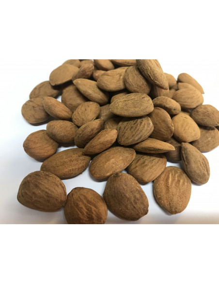 Almendra Marcona Cruda con Piel S/16. Envase de 5 Kg