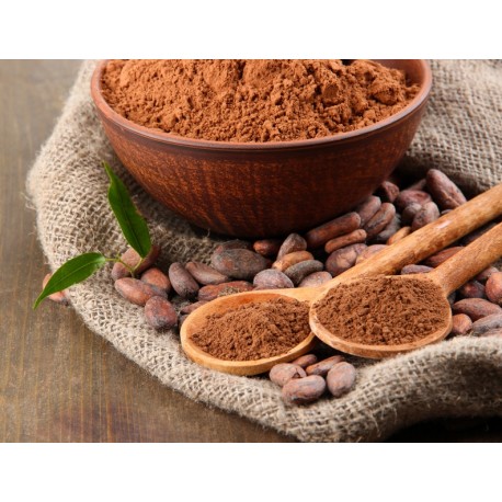 Polvo de Cacao Ecológico 500g