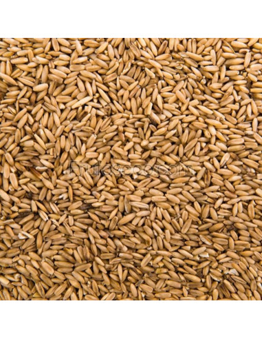 Avena pelada 500 gramos