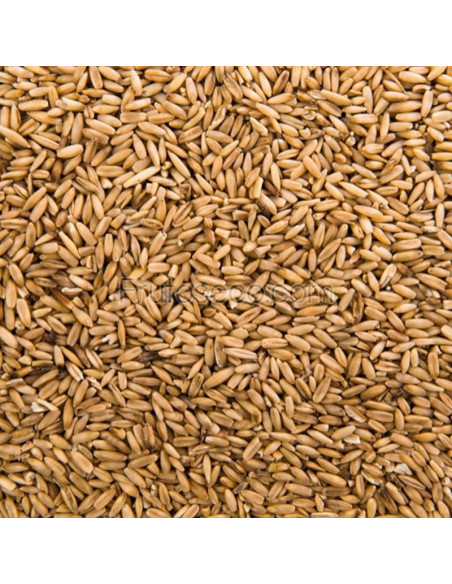 Avena pelada 500 gramos