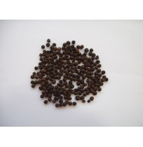 Pimienta Negra en Grano, bolsa zip  900 gramos
