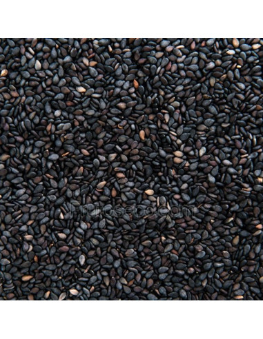 Sésamo Negro Crudo 250 gramos