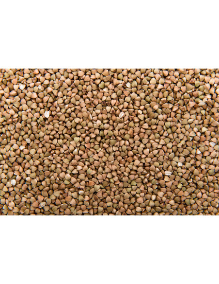 Trigo Sarraceno pelado 5Kg (FORMATO AHORRO)