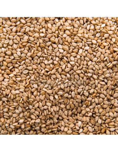 Semillas de Sésamo dorado crudas 250g