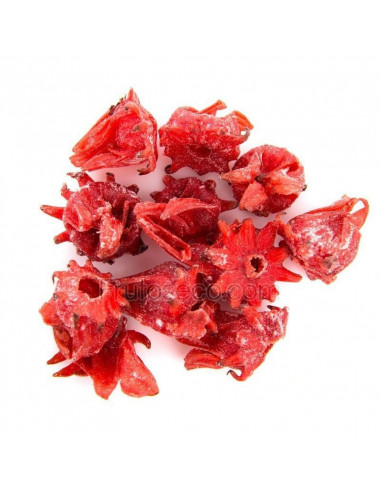 Flor de Hibisco deshidratada 1,5 Kg FORMATO AHORRO