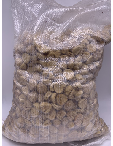 Castañas Pilongas del Bierzo (FORMATO AHORRO) 5Kg