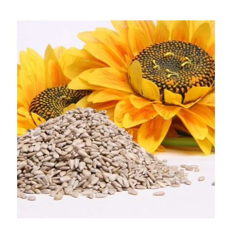 Comprar semillas de Girasol online al mejor precio - Peladas y crudas
