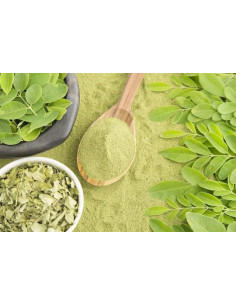 comprar moringa en polvo en españa al mejor precio online