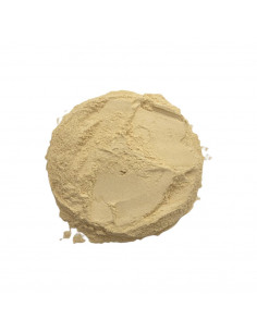 comprar ginseng al mejor precio online en españa