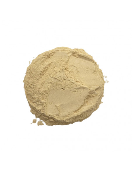 comprar ginseng al mejor precio online en españa