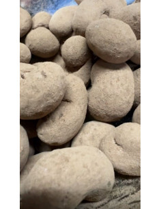 comprar Anacardo Garrapiñado Miel y Sal Recubierto de Chocolate con Leche y Cacao en Polvo