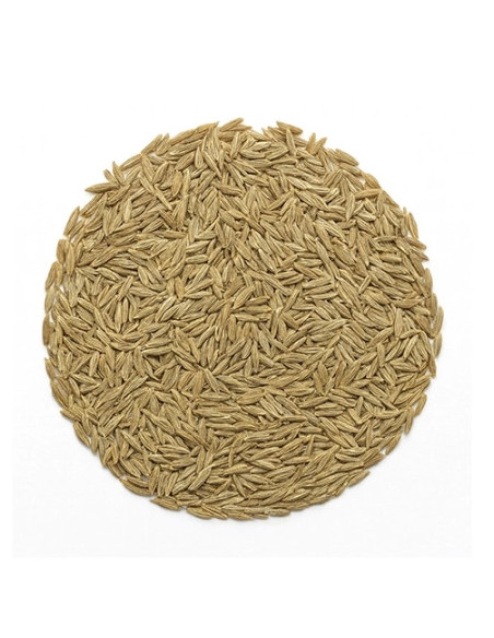 Comino en Grano FORMATO AHORRO 750g
