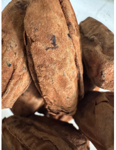 comprar datiles con cacao en polvo al mejor precio online