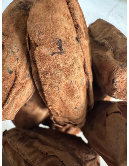 COMPRAR DATILES CON CACAO AL MEJOR PRECIO ONLINE