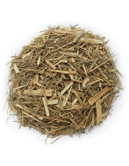comprar lemongrass al mejor precio online en españa