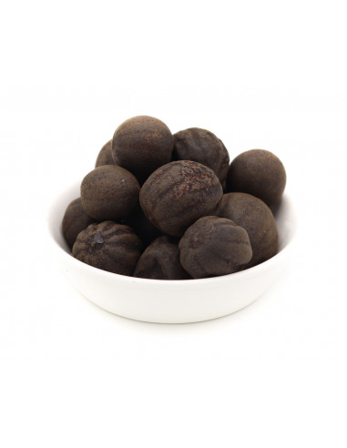 comprar loomi al mejor precio online