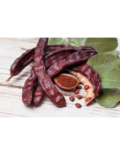 Algarroba Ecológica en Polvo 500g