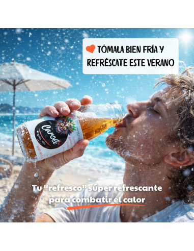 Caroli Bebida Jengibre Canela y Limón (Pack 6 und.) 250ML