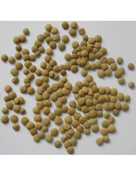 Lenteja Castellana, bolsa 250 gramos