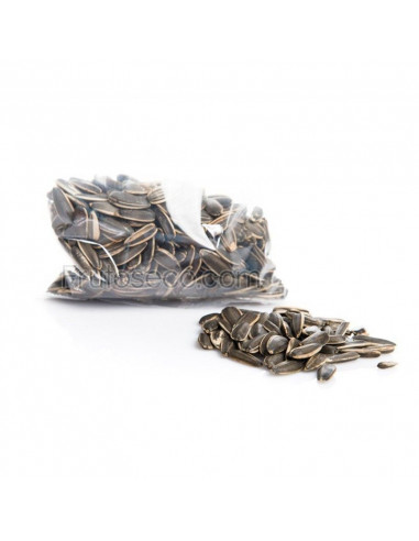 Pipa de girasol XL10  al Natural, bolsa 250 gramos