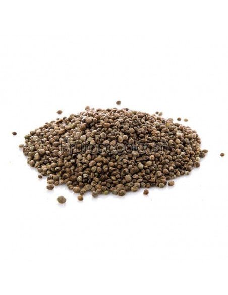 Cañamones (Cannabis sativa) 500 gr