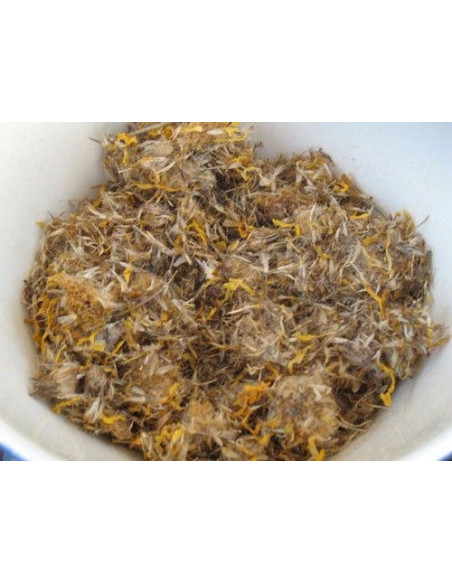 Árnica, bandeja 100 gramos
