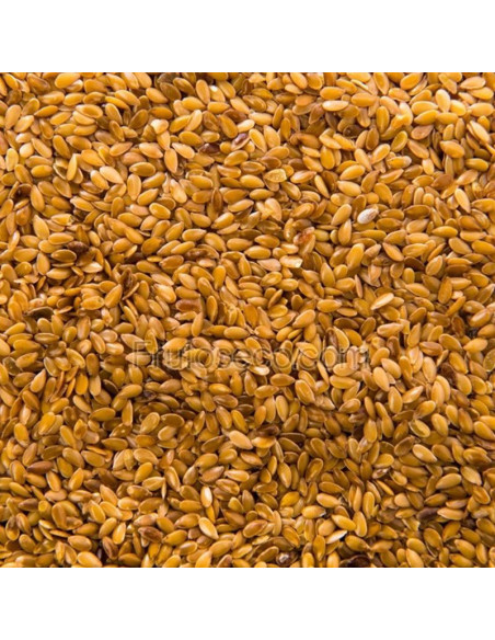 Semillas de Lino dorado 400 gramos