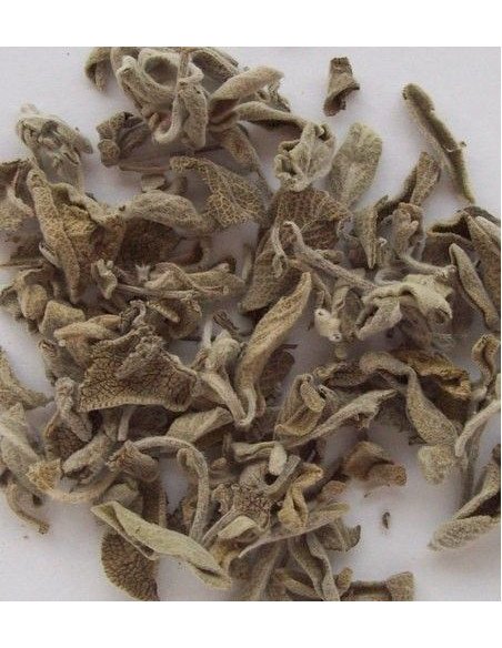 Salvia Lavandulaefolia hojas, bandeja 150 gramos