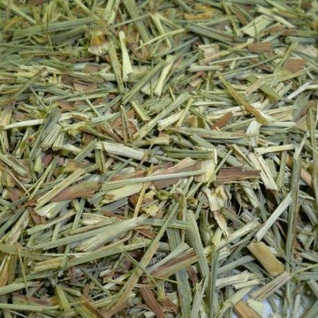 Lemon Grass, bandeja 50 gramos
