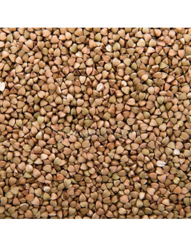 Trigo sarraceno (alforfón pelado) 250 gramos