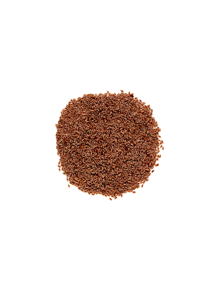 Psyllium Semillas, bote 200 gramos "envasado al vacío"