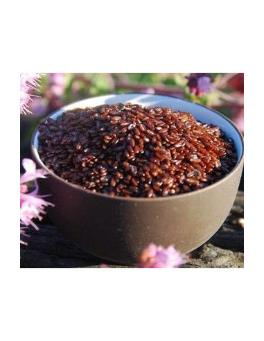 Psyllium Semillas, bote 200 gramos "envasado al vacío"