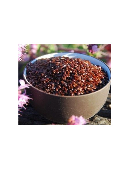 Psyllium Semillas, bote 200 gramos "envasado al vacío"