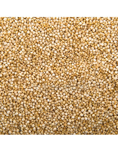 Quinoa Real blanca, bolsa 250 gramos.