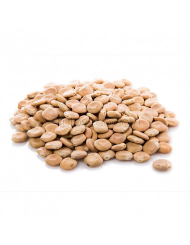 Altramuces secos (Lupinus albus) 500 gramos